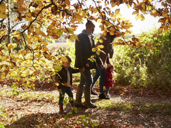 Family walking in Autumn forest leaves