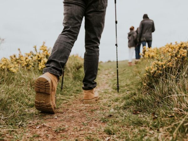 A group of people walking along a hiking trail.