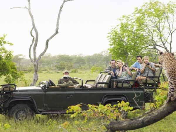 A group of tourists on safari taking a photo of a leopard.