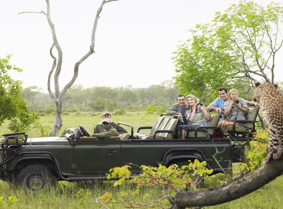 A group of tourists on safari taking a photo of a leopard.