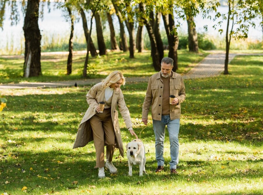 A couple and a dog walking in a park.