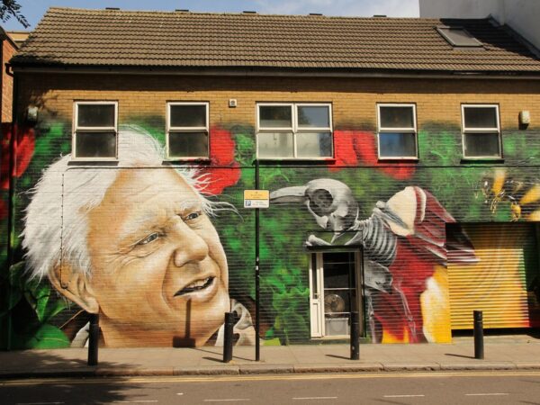 A mural of David Attenborough.