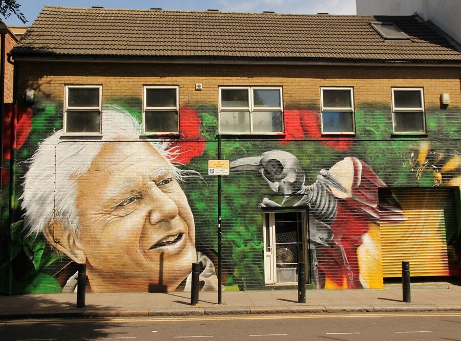 A mural of David Attenborough.